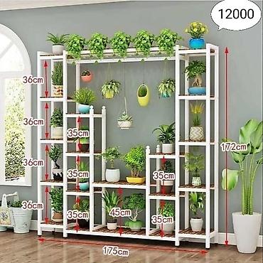 Тележки-органайзеры на колесах: Этажерки/стеллажи для комнатных растений - Дизайн: современные — 8