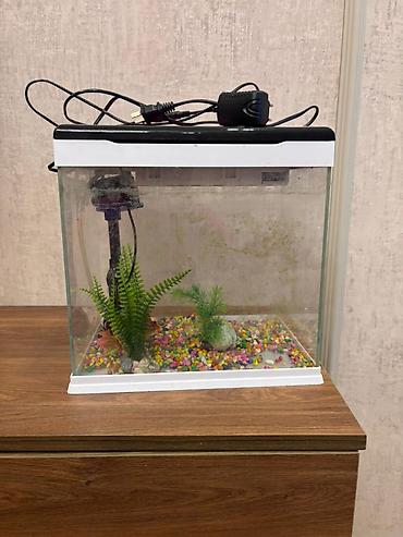 akvarium daş: Akvaryum dəsti - Şüşə akvaryum, ağ çərçivə və qapaq - Elektriklə — 1