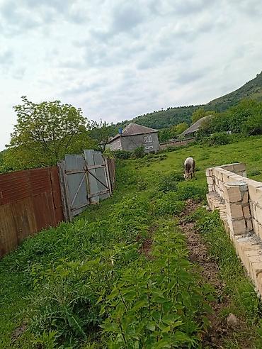 Torpaq sahələrinin satışı: 12 sot, Tikinti, Mülkiyyətçi, Kupça (Çıxarış) — 9
