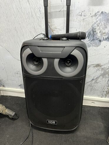 акустические системы jbl с микрофоном: Портативная акустическая система NDR черного цвета с удобной выдвижной