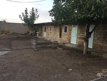 Сельско-хозяйственное оборудование: Quşçuluq təsərrüfatı və yardımçı yaşayış sahəsi - Geniş həyətyanı — 6