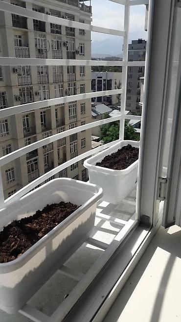 Решетки для окон: Решетки для окон — 3