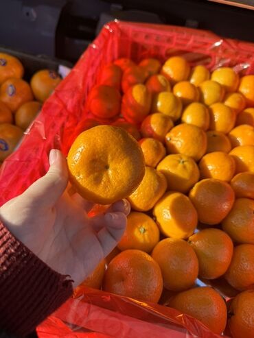 Мандарины: Мандарины — 5