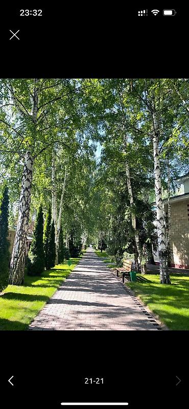 Продажа квартир: 1 комната, 50 м² — 3