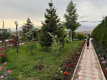 Продажа квартир: 3 комнаты, 50 м², Индивидуалка, 2 этаж, Косметический ремонт — 12