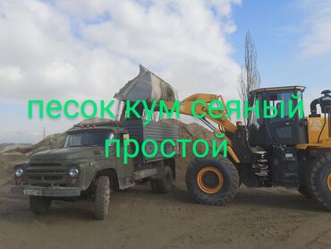 яблоня саженцы: Завод "Кум-Шагыл", Насыпью, Зил