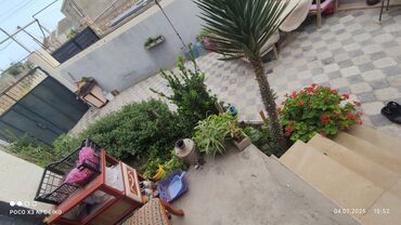 Həyət evləri və villaların satışı: Binə 3 otaqlı, 95 kv. m — 8