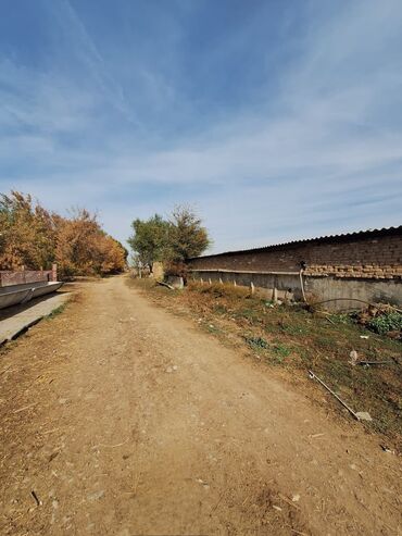 Продажа участков: 44 соток, Красная книга — 5