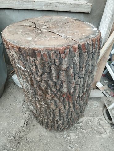 odun taxta: Kötuy