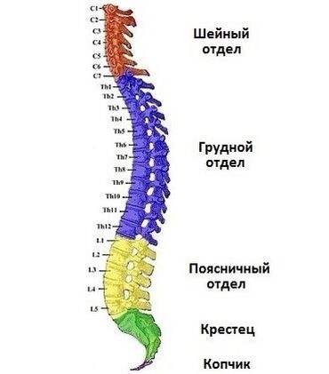 вертикальные картины маслом: 💆‍♂️ Лечебный массаж 💆‍♀️ ✔️ Боль в спине и шее (ШВЗ) ✔️ Боль в ногах