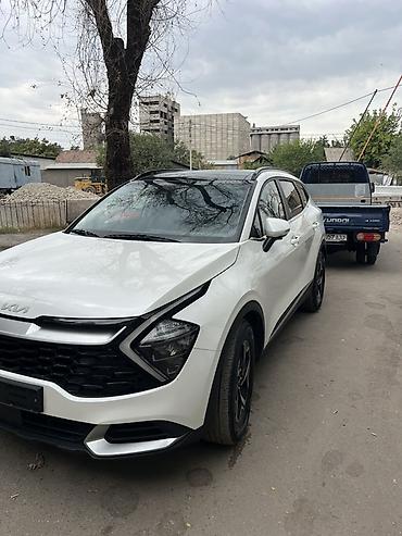 спортейдж 2020: Kia Sportage: 2022 г., 1.6 л, Автомат, Бензин, Кроссовер — 3