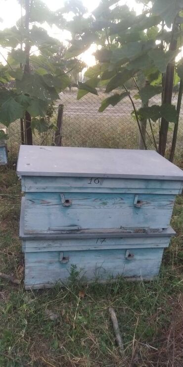 ротанговый мебель: Продам деревянные улья пчел.
Айры ящик сатылат