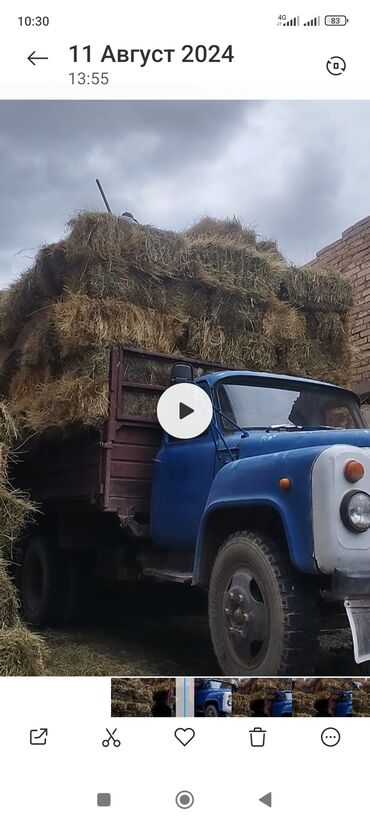 продаю барана: Чөп сатылат Договорная