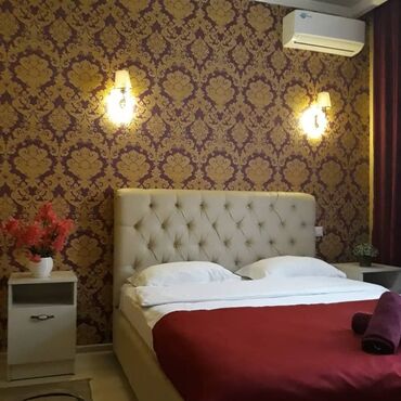Отели и хостелы: Сдаю мини отель на длительный срок. Расположен в центре г. Бишкек. 9