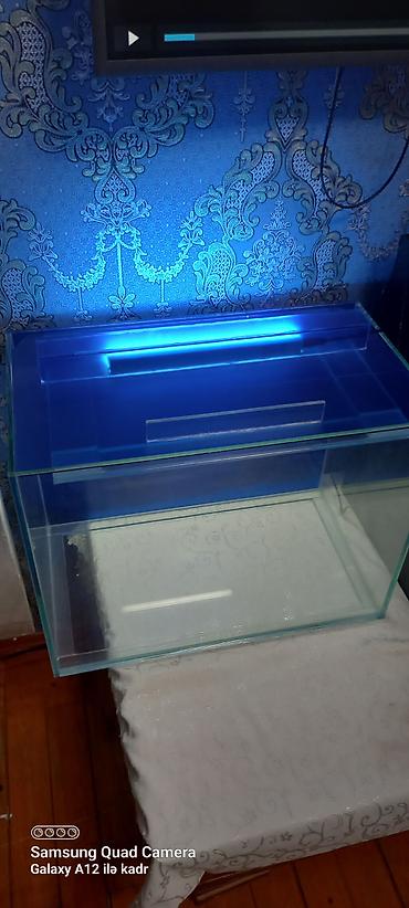 akvarium az: Salam istənilən ölçüdə akvarium ən azı 30 litrdən yuxarı münasib — 1