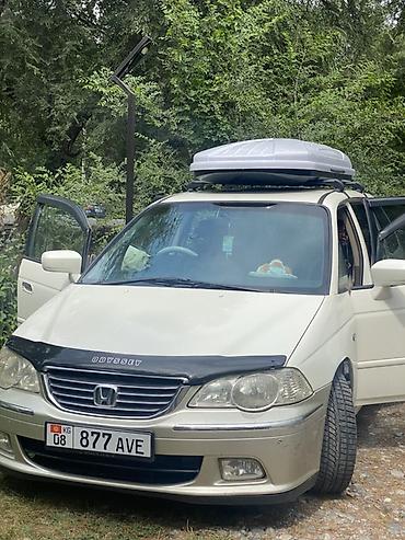 highlander 2: Honda Odyssey: 2003 г., 3 л, Автомат, Бензин, Минивэн — 1