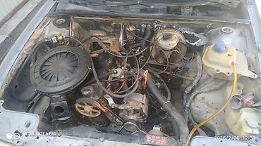 Audi: Audi 80: 1987 г., 1.8 л, Механика, Бензин, Седан — 3