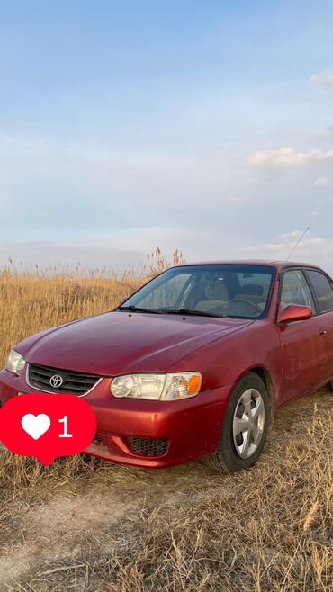 королла 2001: Toyota Corolla: 2002 г., 1.8 л, Автомат, Бензин, Седан