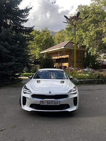 Kia Stinger: 2020 г., 2.5 л, Бензин, Лифтбек