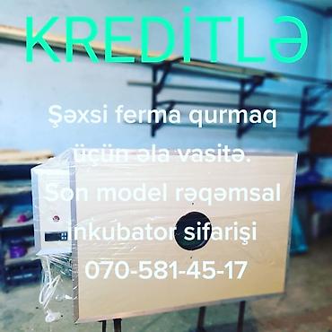 Digər biznes avadanlığı: Son model rəqəmsal tam avtomat.
inkubator sifarişi — 4