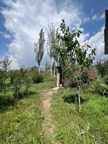 Продажа домов: Времянка, 47 м², 2 комнаты, Агентство недвижимости, Косметический ремонт — 4