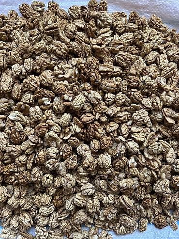 xonça qabı: Təbii qoz ləpəsi ağ apaq ləpədi dağliğ erazidə olan qoz ağaclarin — 1