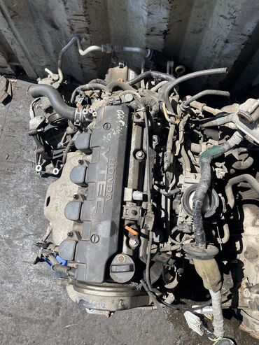 цивик двигатель: Бензиновый мотор Honda 2003 г., 1.5 л, Б/у, Оригинал