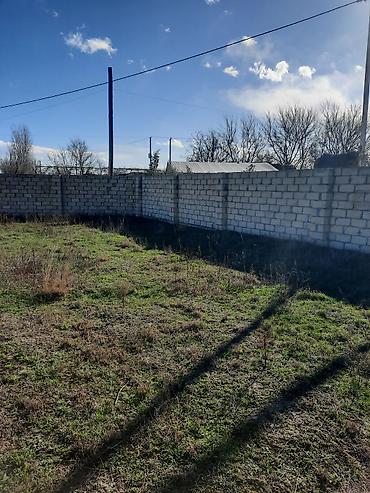 gen: 10 sot, Tikinti, Mülkiyyətçi, Kupça (Çıxarış) — 5