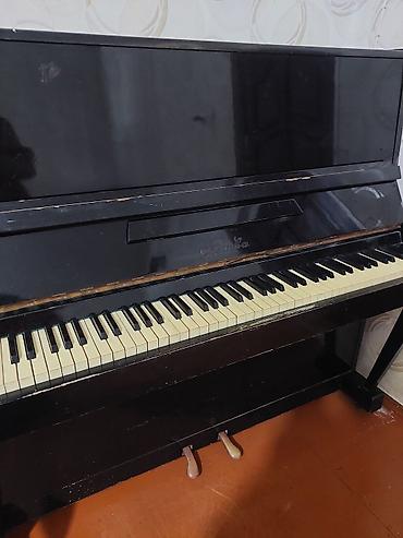 Музыкальные инструменты: Piano oktava — 1