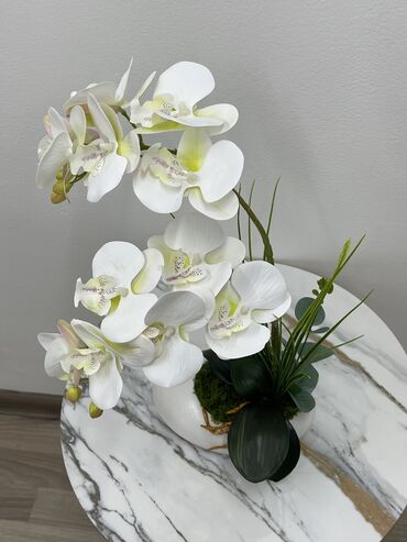 орхидея: Комплект офисной мебели, Стул, Шкаф, Кресло, цвет - Белый, Новый