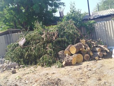 дрова на топку: Дрова Самовывоз