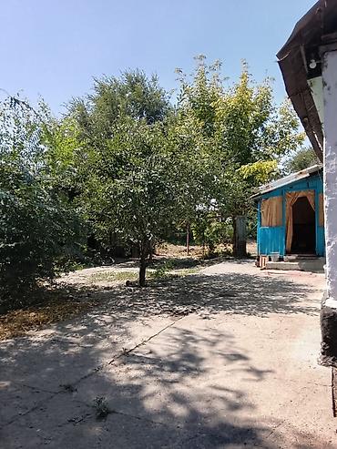 восточный: Дом на продажу — частный дом с участком и хозяйственными постройками — 1