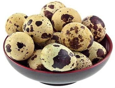 инкубационные яйца бройлера: Яйца, перепела, перепелки, месячные перепела, инкубационные яйца