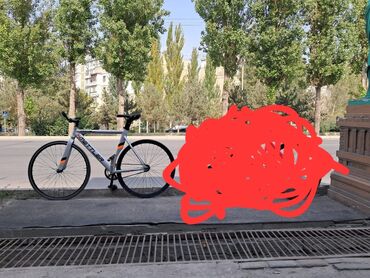 арендовать велосипед: Продам Mettler состояние хорошее в сзади есть мини восьмёрка на