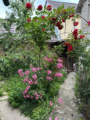 Продажа дач: Дом-дача с выходом к реке Ала-Арча — Таш-Добо (бывш. Воронцовка) 🌿 — 18