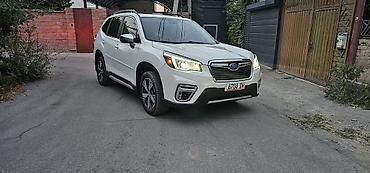 Subaru Forester: 2019 г., 2.5 л, Вариатор, Бензин, Кроссовер