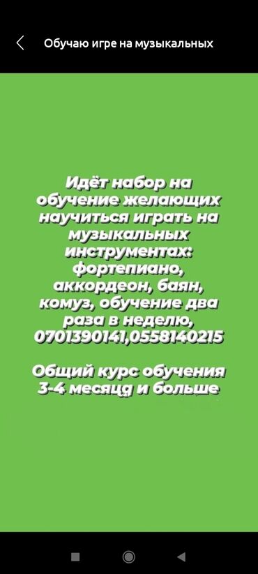 аккордеон германия: Уроки игры на аккордеоне | Индивидуальное