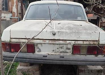 31029: ГАЗ 31029 Volga: 1995 г., Механика, Бензин — 3
