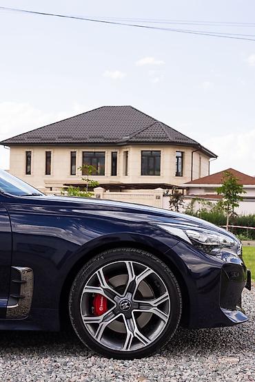 киа стрингер: Kia Stinger: 2019 г., 2 л, Автомат, Бензин, Лифтбек — 2