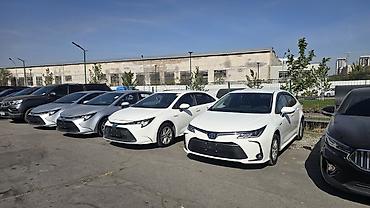 tayota karolla: Toyota Corolla: 2022 г., 1.8 л, Вариатор, Гибрид, Седан — 2