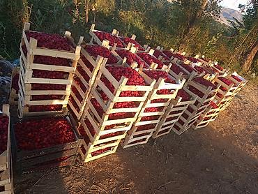 Продажа участков: 200 соток, Для бизнеса, Договор купли-продажи at lalafo.kg — 5 Продажа участков: 200 соток, Для бизнеса, Договор купли-продажи — 5