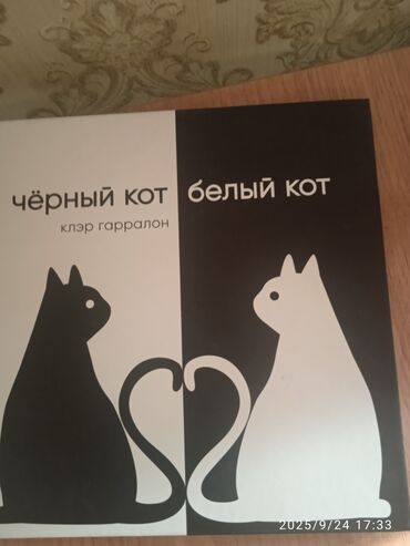 Детские книги: Книга «Чёрный кот, белый кот» — Клер Гарралон. - Формат: крупная