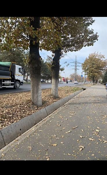 Продажа квартир: 2 комнаты, 50 м², Элитка, 7 этаж, Евроремонт — 13