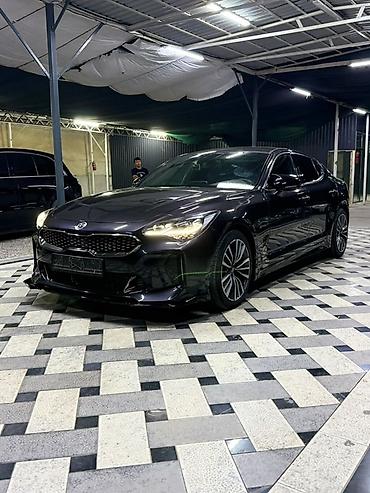 медь кг цена: Kia Stinger: 2017 г., 2 л, Автомат, Бензин, Фастбек — 1