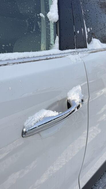 Hyundai: Hyundai Santa Fe: 2016 г., 2 л, Дизель — 3