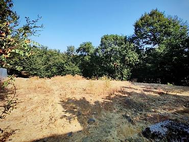 Hazır biznes: 🔥 TƏCİLİ SATILIR – HAZIR ÇÖRƏK DAĞITIM BİZNESİ + 10 SOT TORPAQ — 6