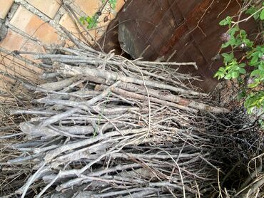 дрова сухие: Дрова Самовывоз, Платная доставка