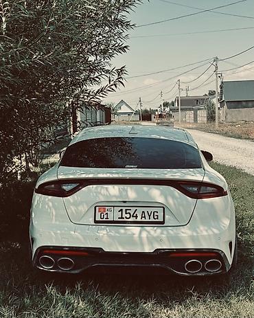 work kiwami: Kia Stinger: 2017 г., 3.3 л, Автомат, Бензин, Лифтбек — 3