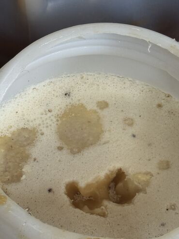 Мёд: Оптом горный мёд токтогульский токтогулдун тоо балы📍 Локация(сбора — 10