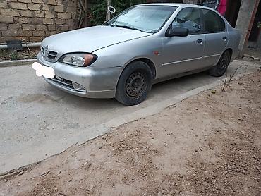 afdamabiler: Nissan Primera: 1.6 l | 1999 il Sedan — 4